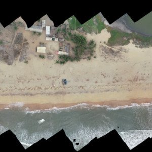 Orthophoto mosaic, campaign January 2019