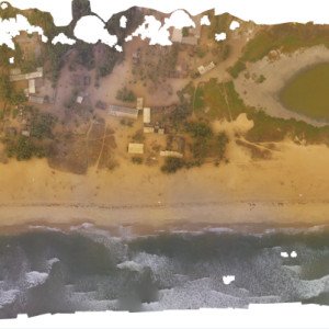 Orthophoto mosaic, campaign February 2020