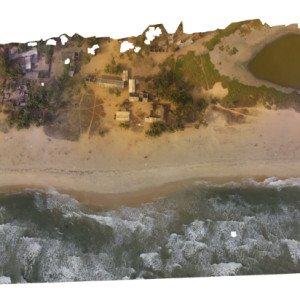 Orthophoto mosaic, campaign January 2020