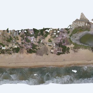 Orthophoto mosaic, campaign March 2020
