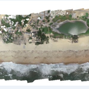 Orthophoto mosaic, campaign January 2021