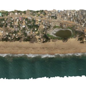 Orthophoto mosaic, campaign January 2024